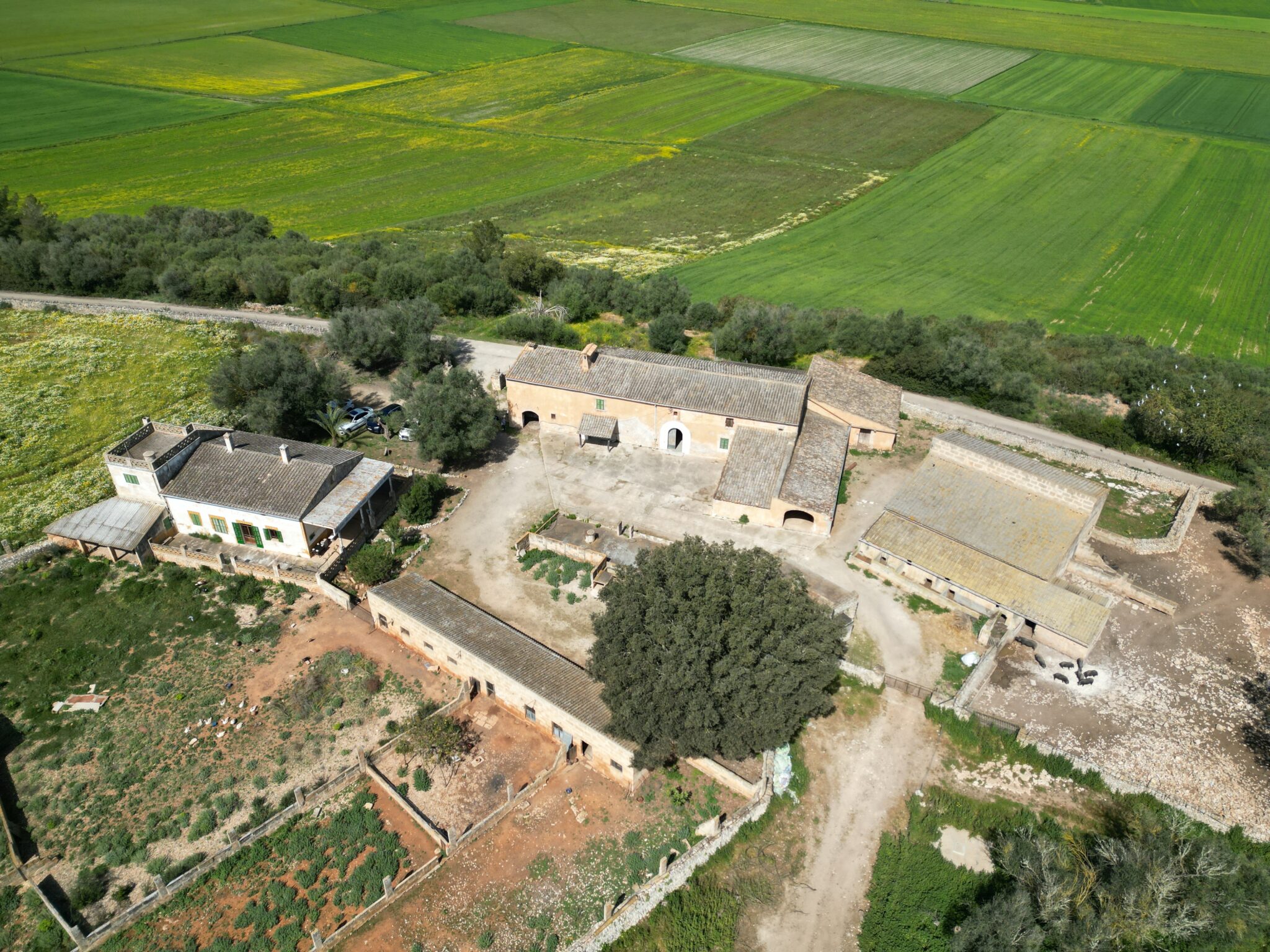 Featured Property