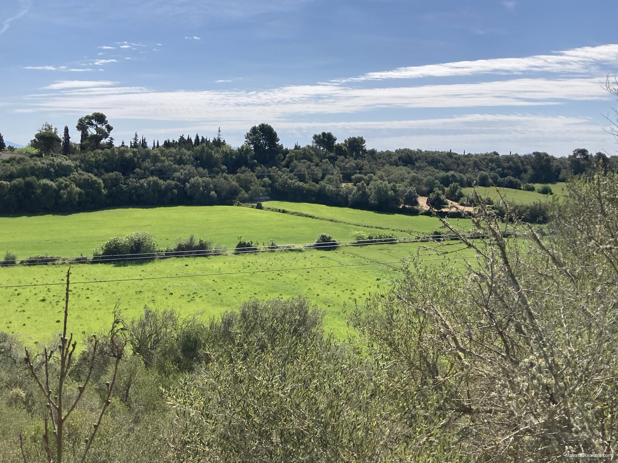 Featured Property